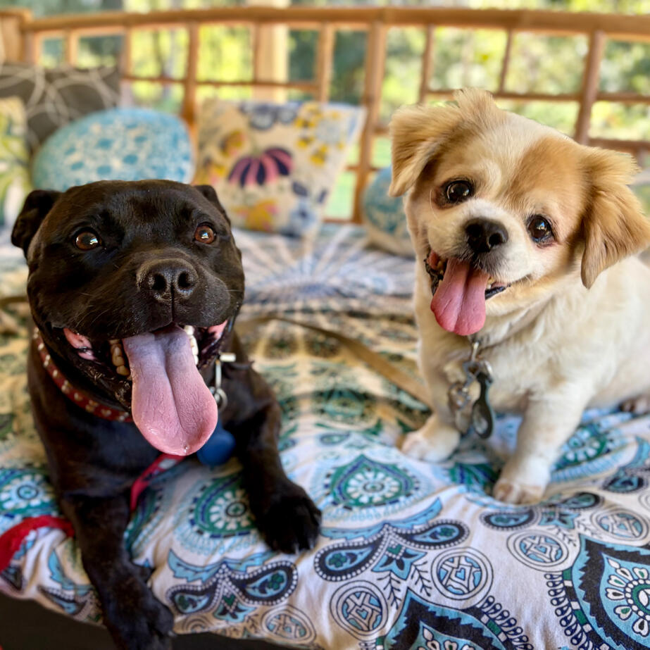 Ziggy and Tenzin Ziggy and Tenzin